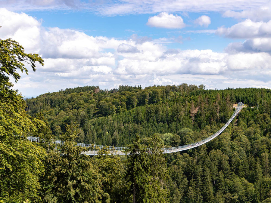 Skywalk Willingen