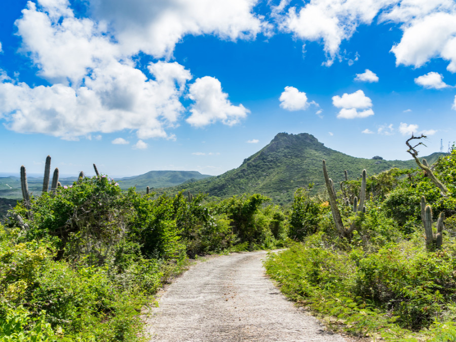 Natuur Curaçao | Mooiste Plekjes En Natuurgebieden