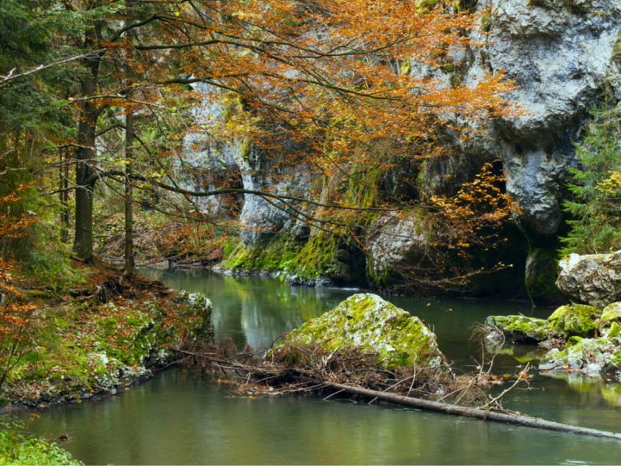 Natuur In Slowakije Mooiste Gebieden In Slowakije