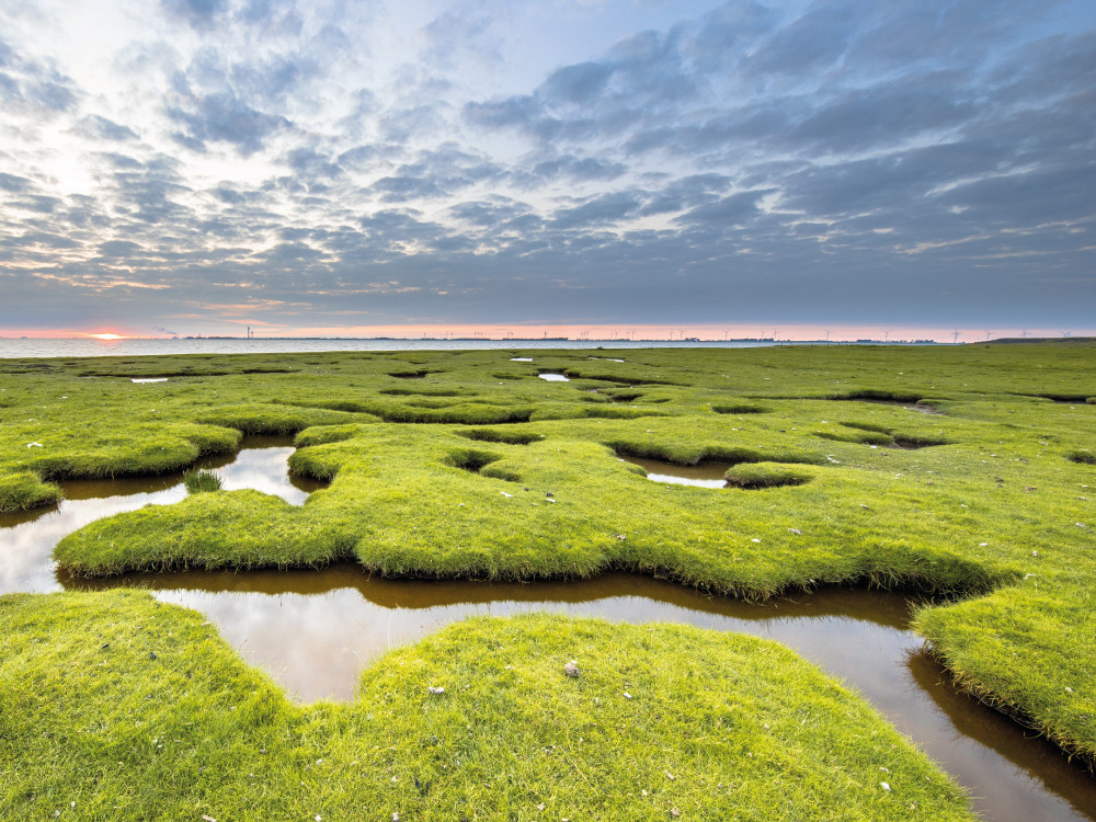 Natuur in Groningen | 10 mooie natuurgebieden in de provincie