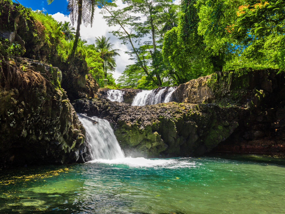 samoa kinderen online