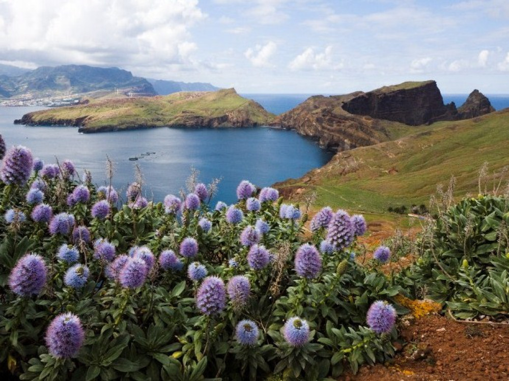 Madeira natuur | 13X Tips voor een natuurvakantie