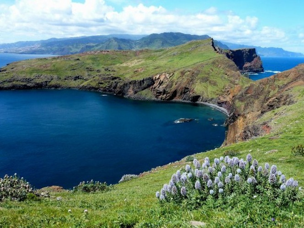 Madeira natuur | 13X Tips voor een natuurvakantie