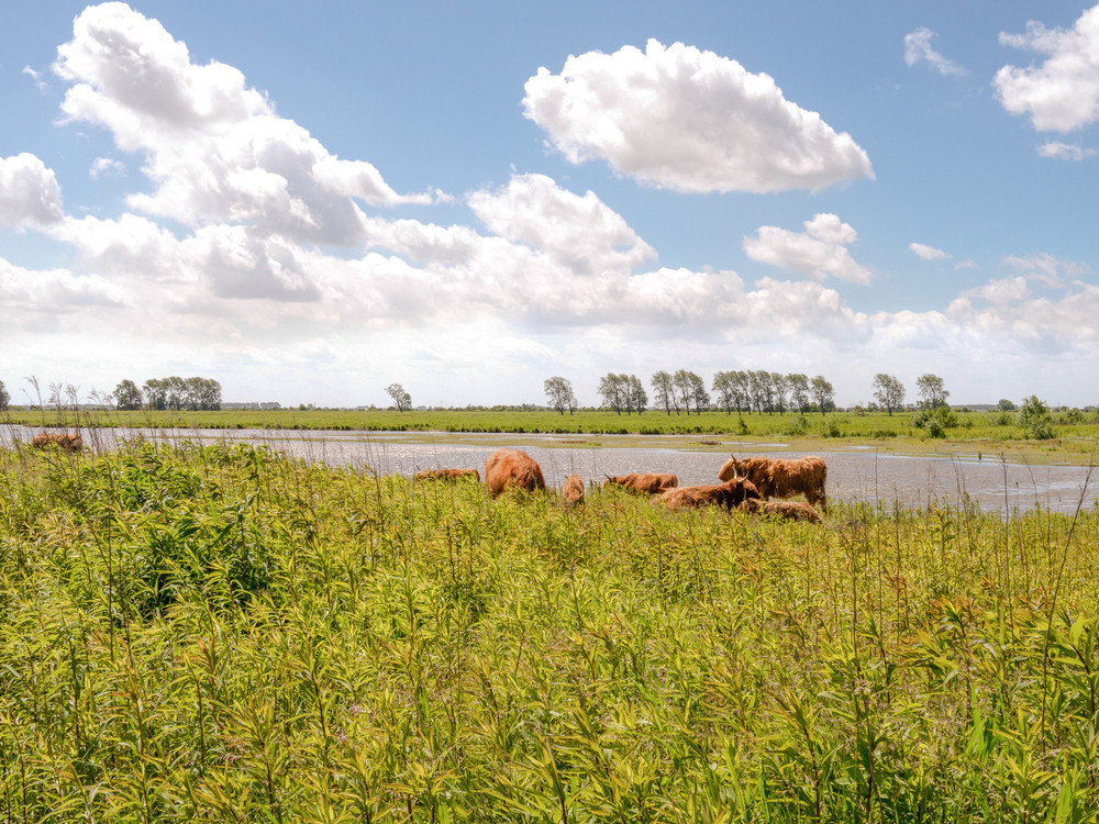Ziekte vermogen onvergeeflijk Natuur in Nederland | 50X mooiste plekken